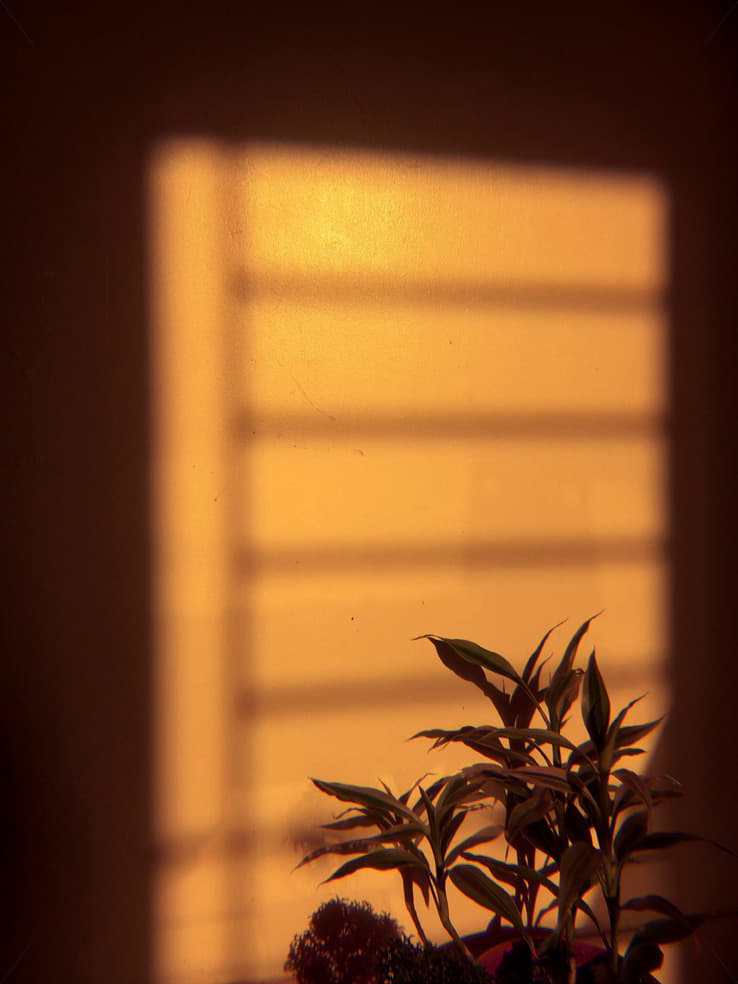 Lumière de fin de journée