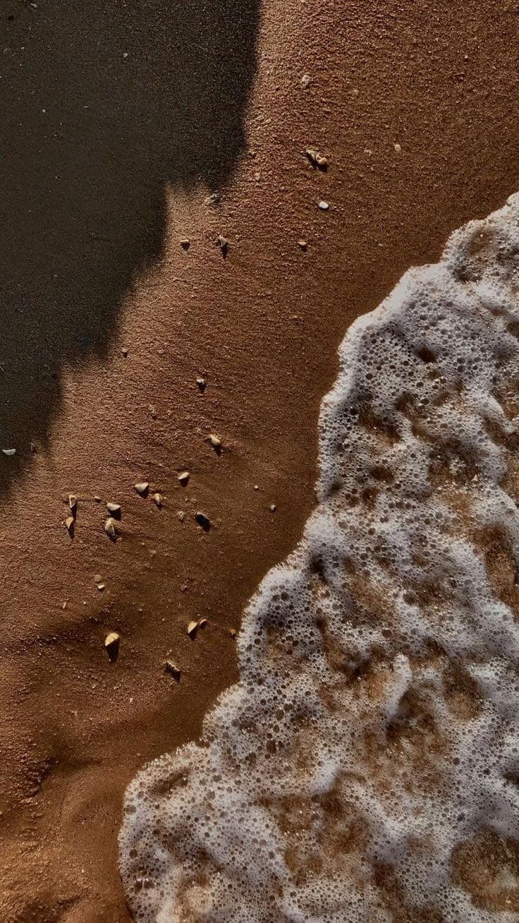 Texture de rivage